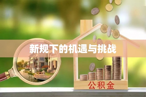 景德镇新规下的机遇与挑战