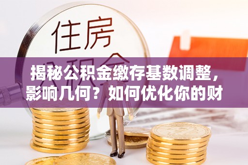 景德镇揭秘公积金缴存基数调整，影响几何？如何优化你的财务规划？
