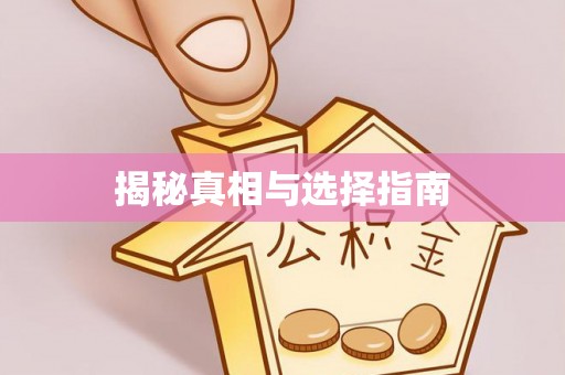 景德镇揭秘真相与选择指南