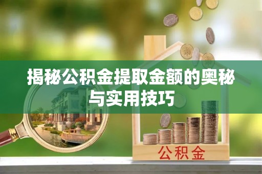 景德镇揭秘公积金提取金额的奥秘与实用技巧