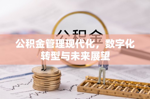 景德镇公积金管理现代化，数字化转型与未来展望