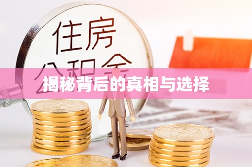 景德镇揭秘背后的真相与选择