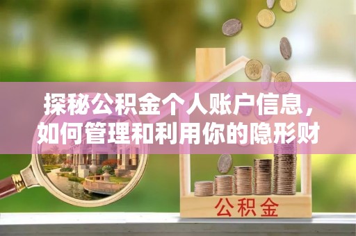 景德镇探秘公积金个人账户信息，如何管理和利用你的隐形财富
