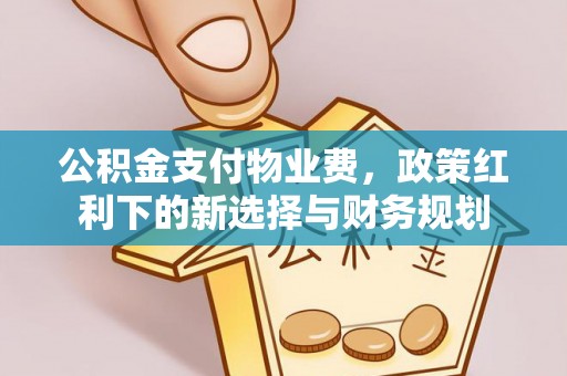 景德镇公积金支付物业费，政策红利下的新选择与财务规划