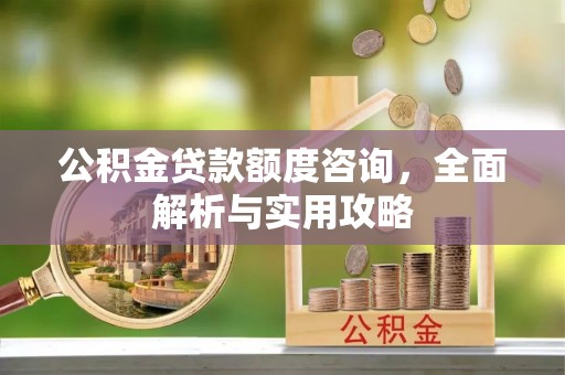 景德镇公积金贷款额度咨询，全面解析与实用攻略