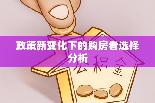 景德镇政策新变化下的购房者选择分析