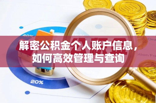 景德镇解密公积金个人账户信息，如何高效管理与查询
