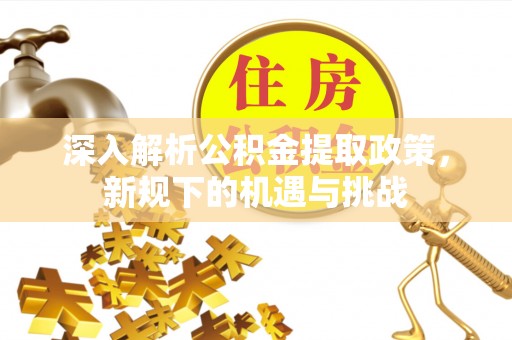 景德镇深入解析公积金提取政策，新规下的机遇与挑战