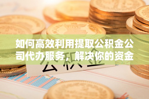 景德镇如何高效利用提取公积金公司代办服务，解决你的资金难题