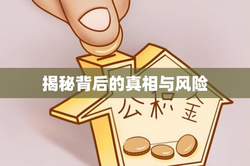 景德镇揭秘背后的真相与风险