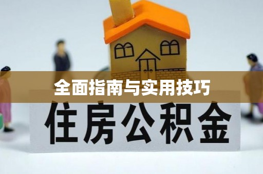 景德镇全面指南与实用技巧