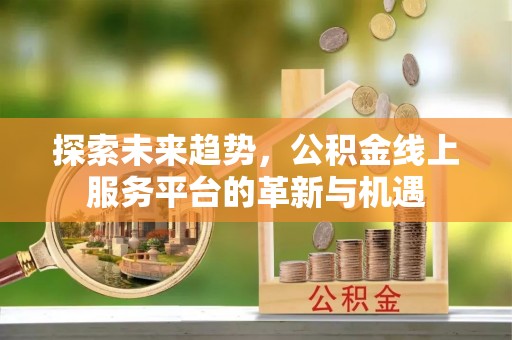 景德镇探索未来趋势，公积金线上服务平台的革新与机遇