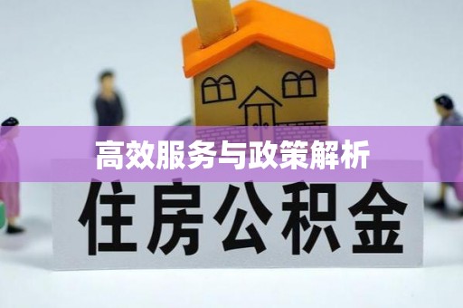 景德镇高效服务与政策解析