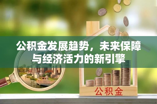 景德镇公积金发展趋势，未来保障与经济活力的新引擎