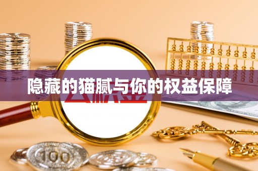 景德镇隐藏的猫腻与你的权益保障