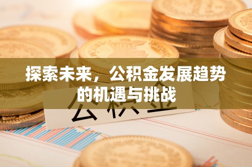 景德镇探索未来，公积金发展趋势的机遇与挑战
