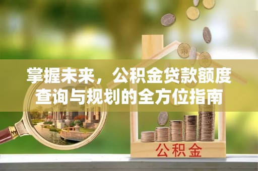 景德镇掌握未来，公积金贷款额度查询与规划的全方位指南