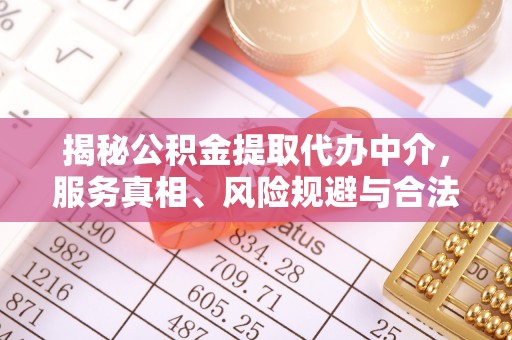 景德镇揭秘公积金提取代办中介，服务真相、风险规避与合法途径