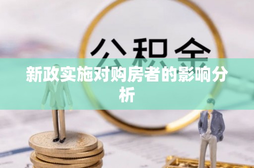 景德镇新政实施对购房者的影响分析