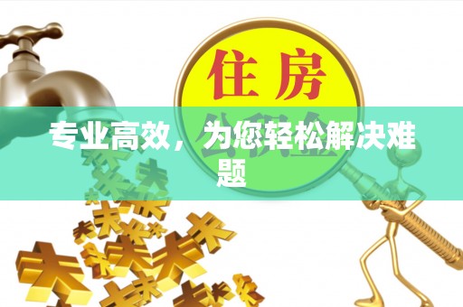 景德镇专业高效，为您轻松解决难题