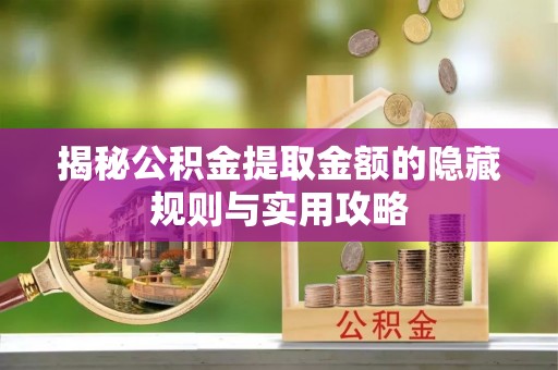 景德镇揭秘公积金提取金额的隐藏规则与实用攻略