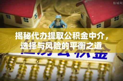 景德镇揭秘代办提取公积金中介，选择与风险的平衡之道