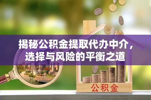 景德镇揭秘公积金提取代办中介，选择与风险的平衡之道