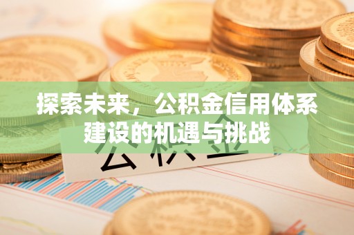 景德镇探索未来，公积金信用体系建设的机遇与挑战