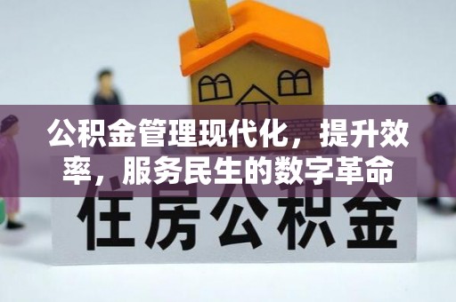 景德镇公积金管理现代化，提升效率，服务民生的数字革命