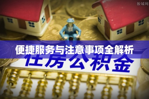 景德镇便捷服务与注意事项全解析