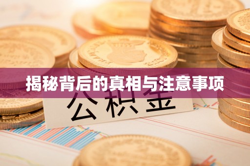 景德镇揭秘背后的真相与注意事项