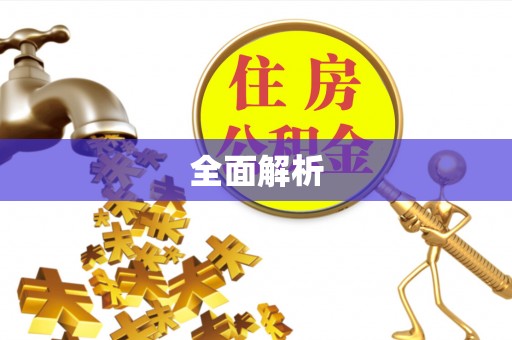 景德镇全面解析