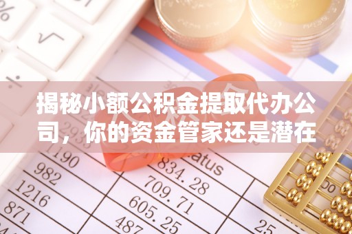 景德镇揭秘小额公积金提取代办公司，你的资金管家还是潜在陷阱？