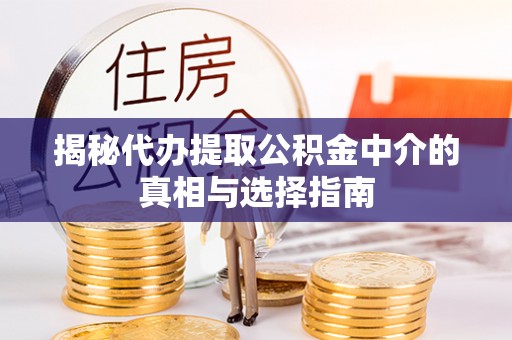 景德镇揭秘代办提取公积金中介的真相与选择指南