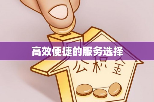 景德镇高效便捷的服务选择