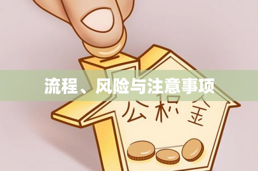 景德镇流程、风险与注意事项
