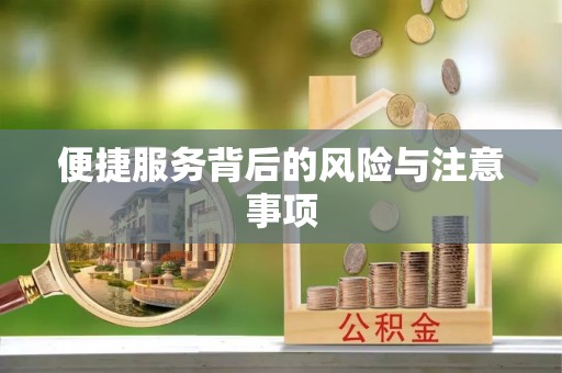 景德镇便捷服务背后的风险与注意事项